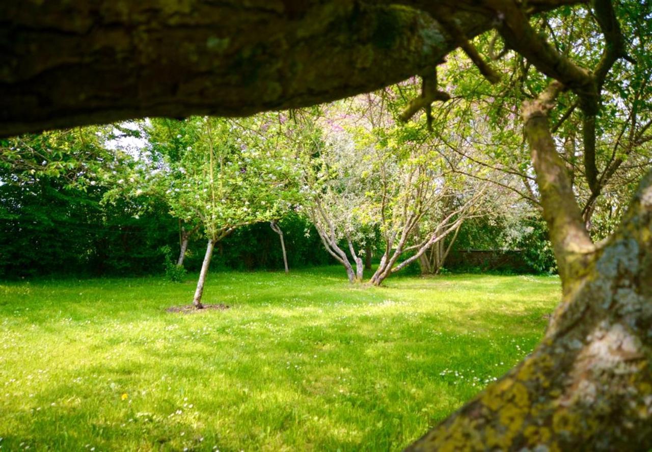 Maison Charmante A Ri Avec Jardin Et Terrasse Villa Ri Exterior foto